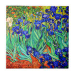 Irises von Vincent Van Gogh Fliese<br><div class="desc">Vincent Van Gogh Irises 1889 gemalt ist es eines der Gemälde,  die er in Saint Paul-de-Mausole Asyl in Saint-Rémy-de-Provence in Frankreich erschuf. Es ist ein Ölgemälde. Diese kunstvolle Ölmalerei zeigt ein Feld von Iris-Blume-Pflanze.  Vincent Van Gogh war ein berühmter Künstler. Er war ein niederländischer Postimpressionist.
Dieses Gemälde ist öffentlich.</div>