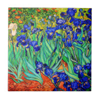 Irises von Vincent Van Gogh