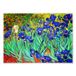 Irises von Vincent Van Gogh Fotodruck