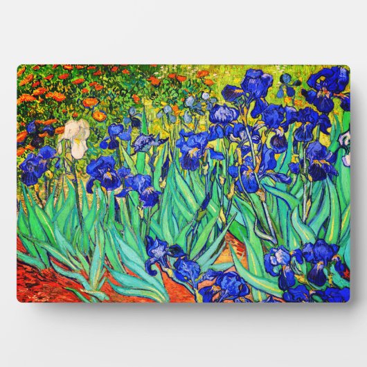 Irises von Vincent Van Gogh Fotoplatte (Vorderseite)