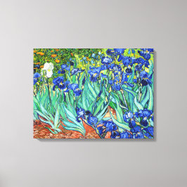 Irises von Vincent Van Gogh Leinwanddruck