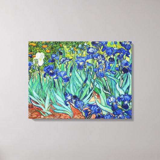 Irises von Vincent Van Gogh Leinwanddruck (Vorderseite)