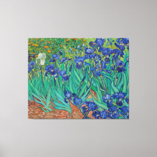 Irises von Vincent Van Gogh Leinwanddruck