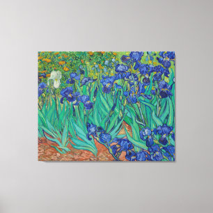 Irises von Vincent Van Gogh Leinwanddruck