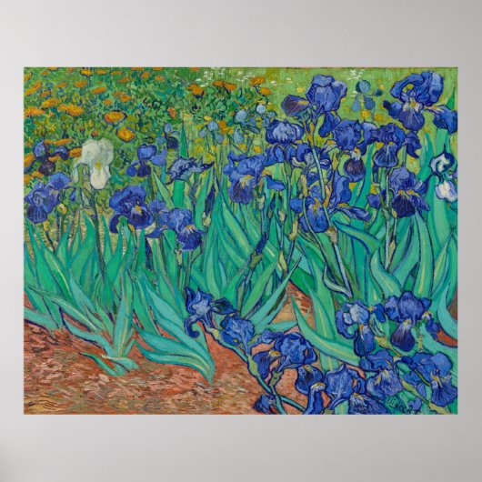 Irises von Vincent Van Gogh Poster (Vorne)