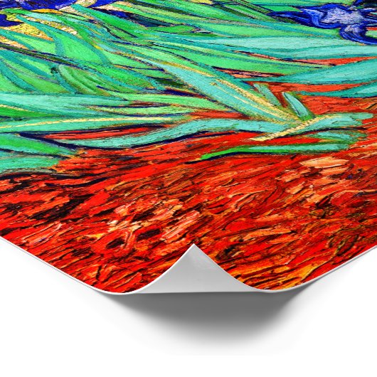 Irises von Vincent Van Gogh Poster (Ecke)