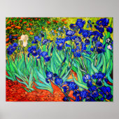 Irises von Vincent Van Gogh Poster (Vorne)