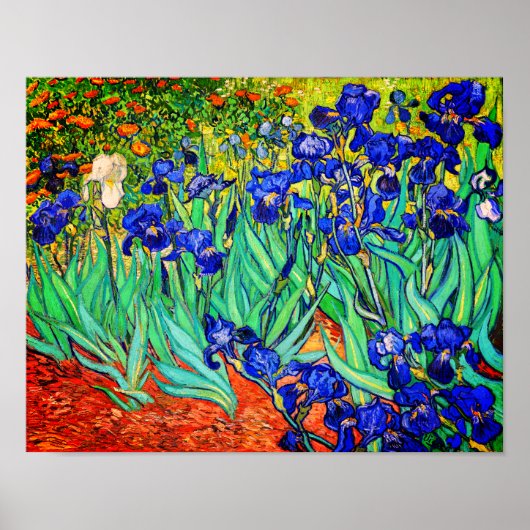 Irises von Vincent Van Gogh Poster (Vorne)