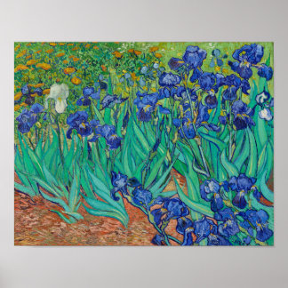 Irises von Vincent Van Gogh Poster