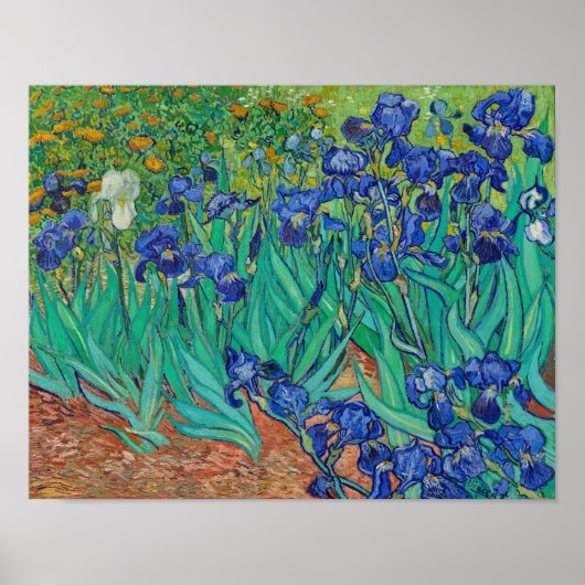 Irises von Vincent Van Gogh Poster (Vorne)