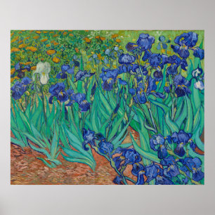 Irises von Vincent Van Gogh Poster