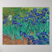 Irises von Vincent Van Gogh Poster (Vorne)