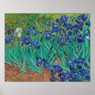 Irises von Vincent Van Gogh Poster