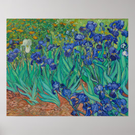 Irises von Vincent Van Gogh Poster