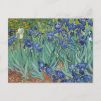 Irises von Vincent Van Gogh