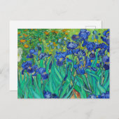 Irises von Vincent Van Gogh Postkarte (Vorne/Hinten)