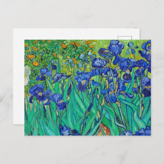 Irises von Vincent Van Gogh Postkarte (Vorne/Hinten)