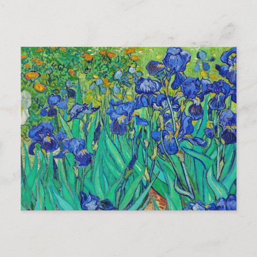 Irises von Vincent Van Gogh Postkarte (Vorderseite)