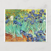 Irises von Vincent Van Gogh Postkarte (Vorderseite)