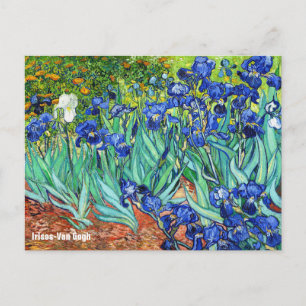 Irises von Vincent Van Gogh Postkarte