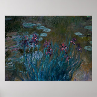 Irises & Water Lilies Poster