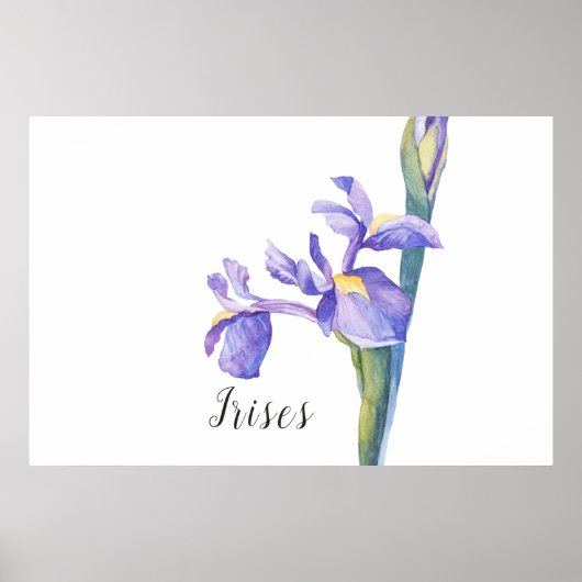 Irises Watercolor Floral Poster (Vorne)