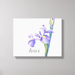 Irises Watercolor Leinwand drucken