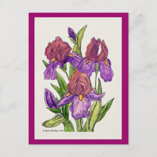 Irises Watercolor Postkarte
