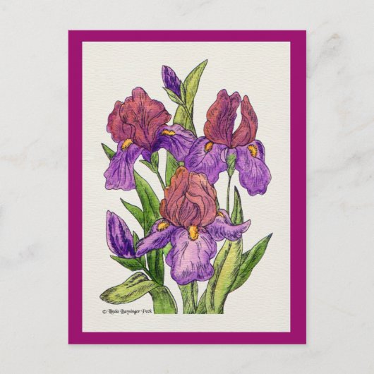 Irises Watercolor Postkarte (Vorderseite)