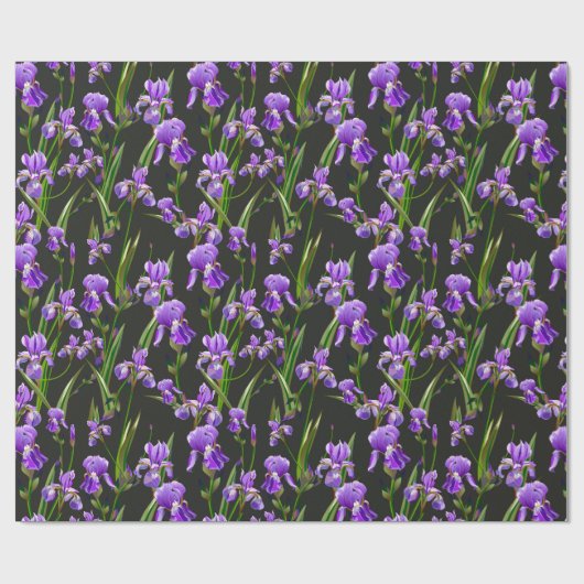 Irisfeld Geschenkpapier (Flach)