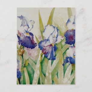 Irisgarten 2 postkarte