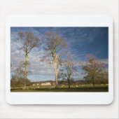 Irish Beech Trees Mousepad (Vorne)