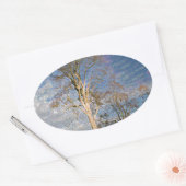 Irish Beech Trees Ovaler Aufkleber (Umschlag)