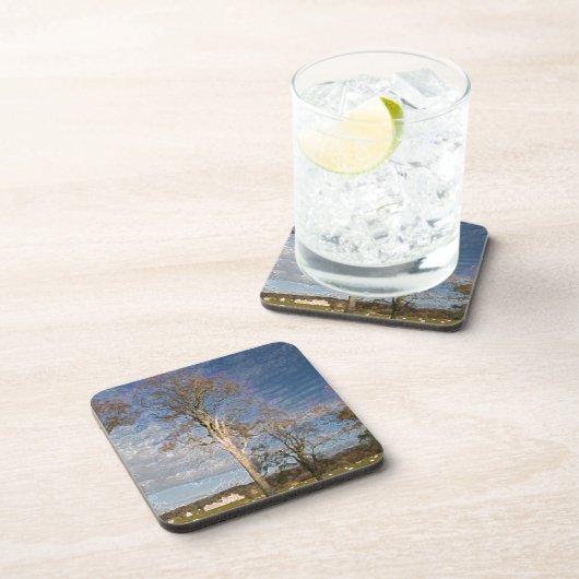 Irish Beech Trees Untersetzer (Rechte Seite)