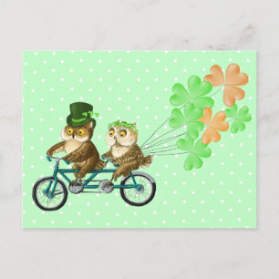 Irish bicyсle owls with clover baloons postkarte