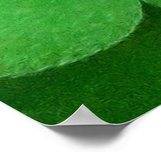 Irish Blessing Poster (Ecke)