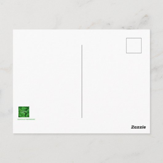 Irish Blessing Postkarte (Rückseite)