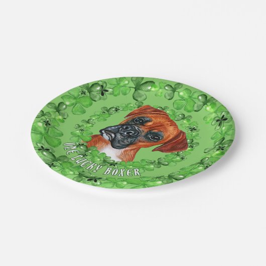Irish Boxer Pappteller (Schrägansicht)