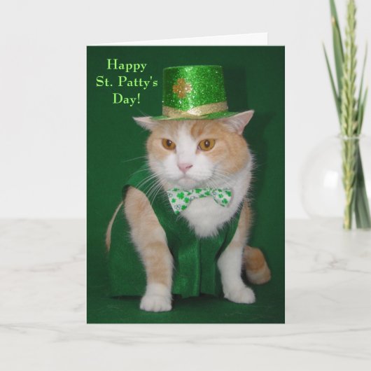 Irish Bubba Kitty Blessing Karte (Vorderseite)