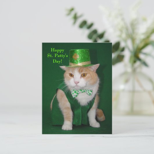 Irish Bubba Kitty Postkarte (Stehend Vorderseite)