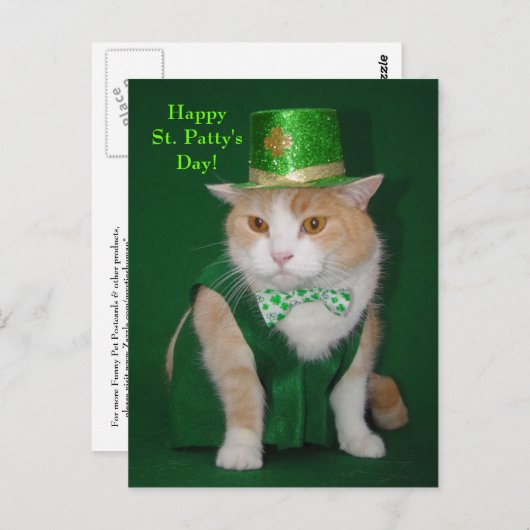 Irish Bubba Kitty Postkarte (Vorne/Hinten)