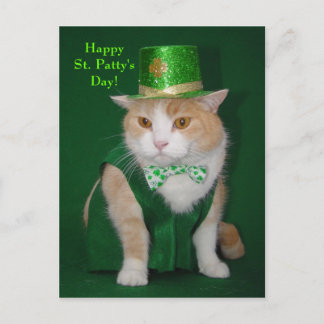 Irish Bubba Kitty Postkarte