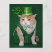 Irish Bubba Kitty Postkarte (Vorderseite)