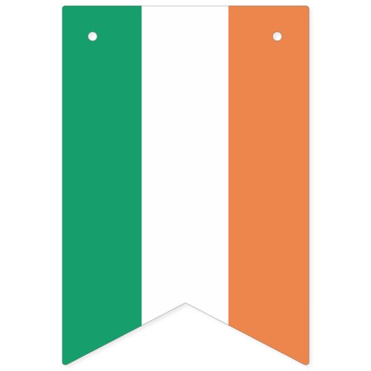Irish Bunting Flags - Zeigen Sie Ihren irischen St Wimpelkette (Erste Fahne)