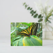 Irish Butterfly Postkarte (Stehend Vorderseite)