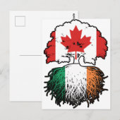 Irish Canadian Canada Tree Roots Flag Postkarte (Vorne/Hinten)