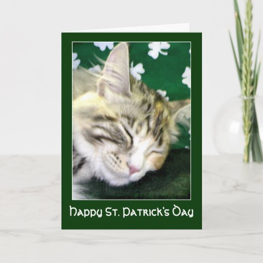 Irish Cat Dreams St. Patrick's Day Karte (Vorderseite)