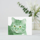 Irish Cat Postkarte (Stehend Vorderseite)