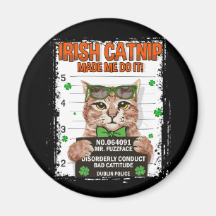 Irish Catnip St Patrick's Day Kleeblatt Cat Magnet