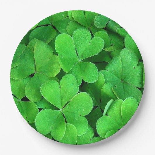 Irish Clover Pappteller (Vorderseite)